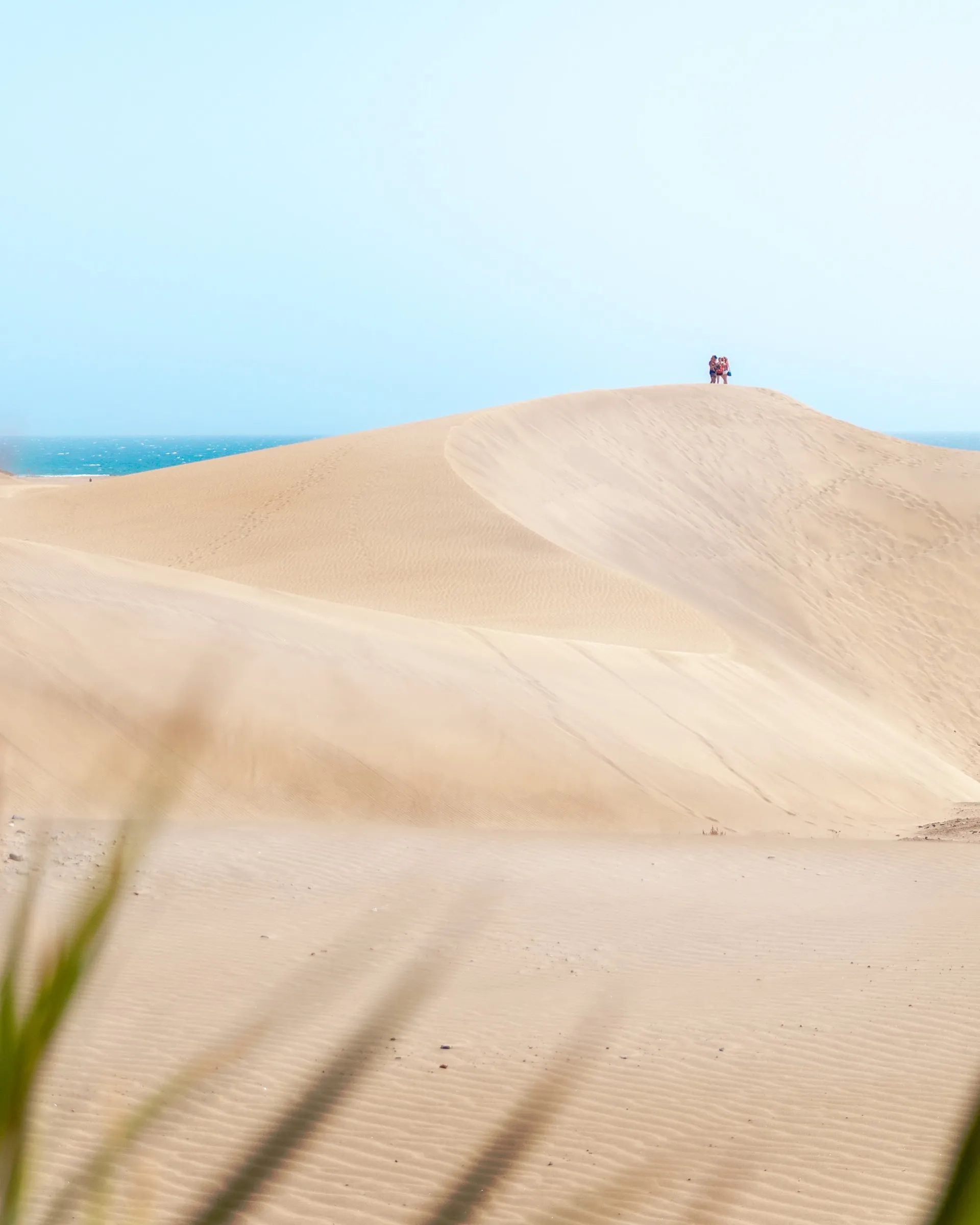 Fuerteventura